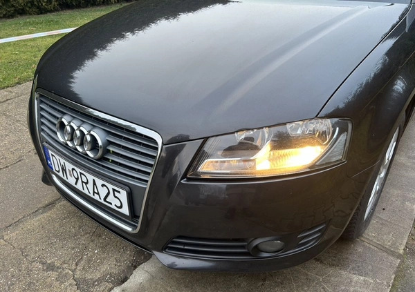 Audi A3 cena 25900 przebieg: 315000, rok produkcji 2010 z Żmigród małe 106